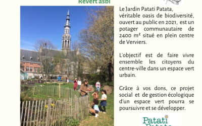 Faire grandir Patati Patata